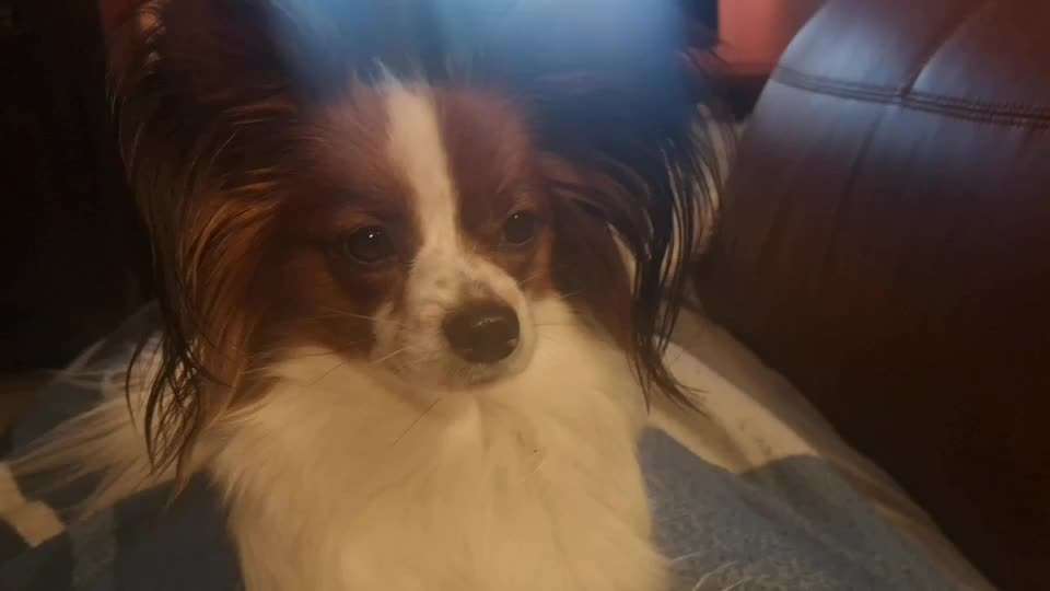 Trick Spiel - Koffer packen - der 15.-Beitrag-Bild