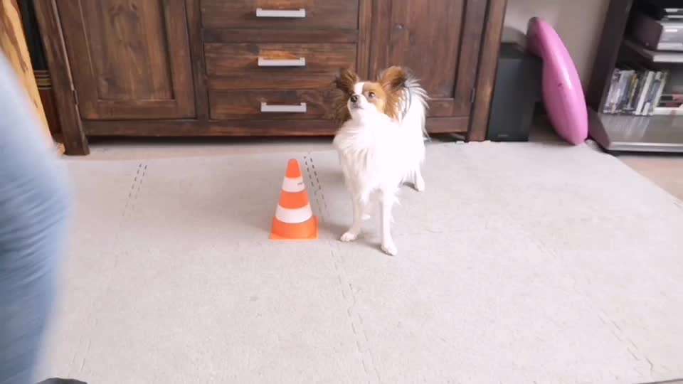 Veteranenzone - Koffer packen für fortgeschrittene-Beitrag-Bild