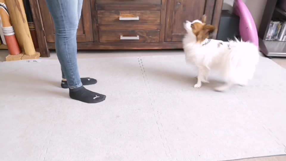 Veteranenzone - Koffer packen für fortgeschrittene-Beitrag-Bild