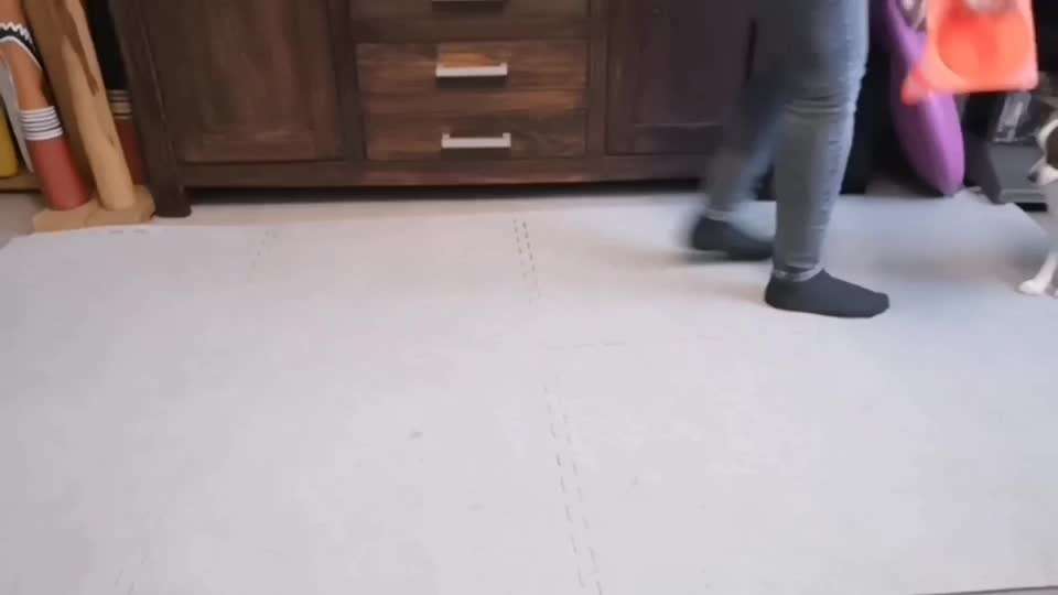 Veteranenzone - Koffer packen für fortgeschrittene-Beitrag-Bild