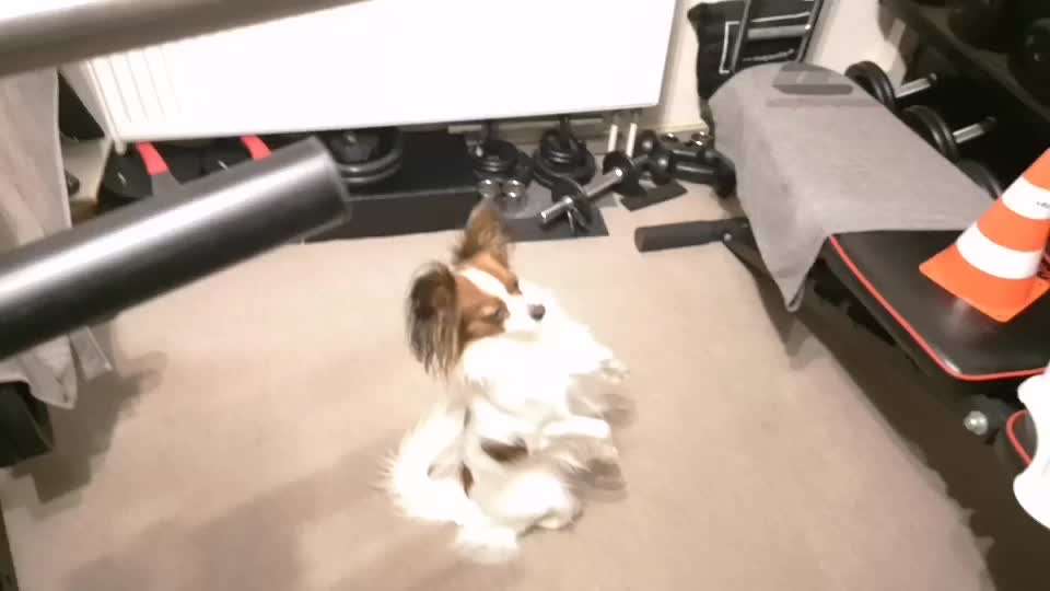 Koffer Packen: Spezial Weihnachtsedition-Beitrag-Bild