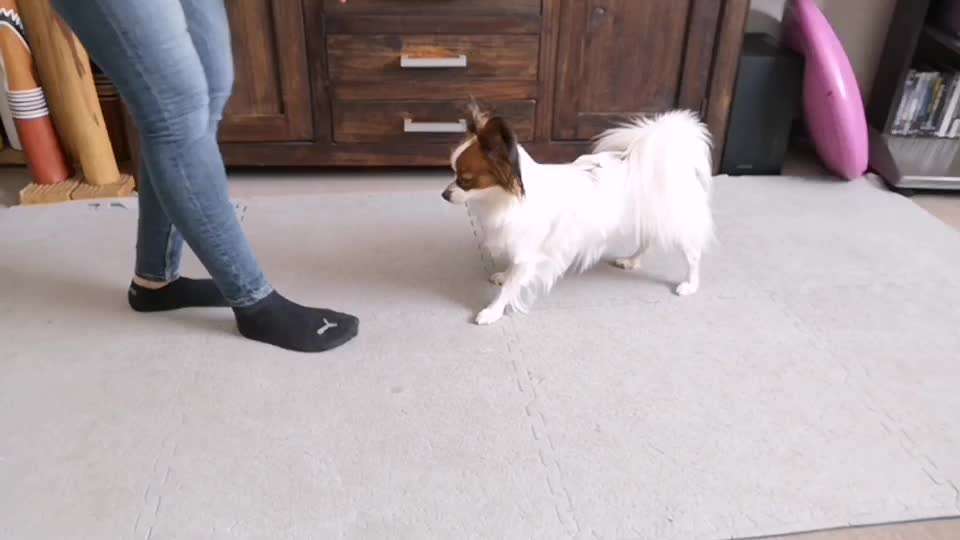 Veteranenzone - Koffer packen für fortgeschrittene-Beitrag-Bild