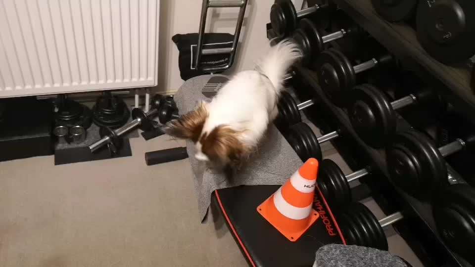 Koffer Packen: Spezial Weihnachtsedition-Beitrag-Bild