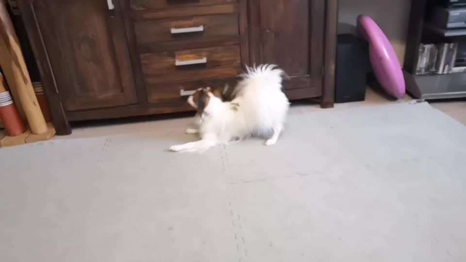 Veteranenzone - Koffer packen für fortgeschrittene-Beitrag-Bild