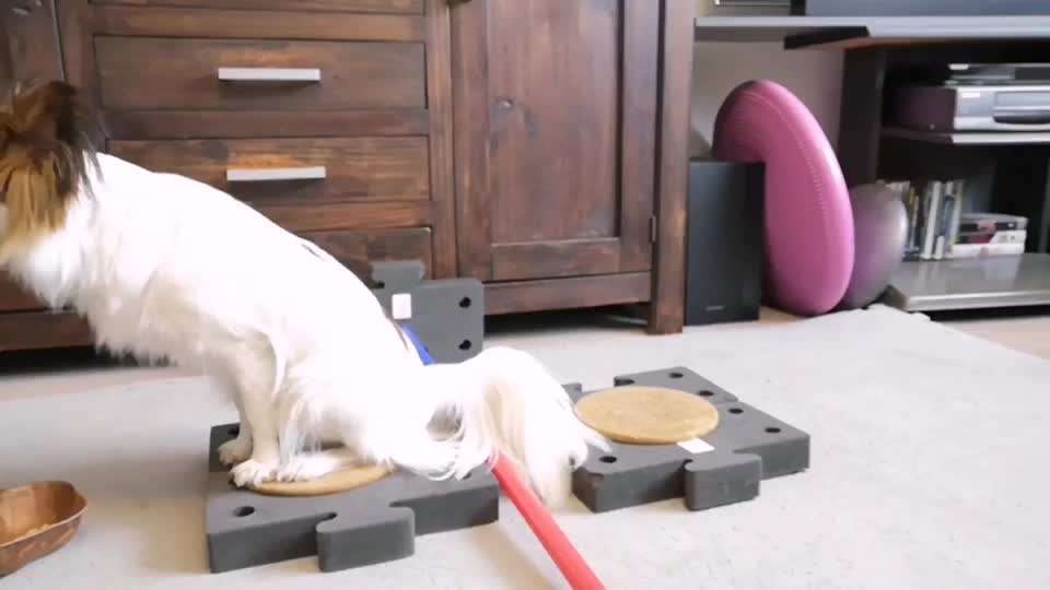 47. Rückwärts Einparken-Beitrag-Bild