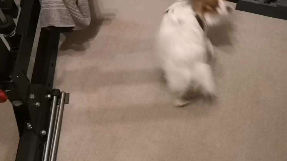 Trick Spiel - Koffer packen - der 16.-Beitrag-Bild