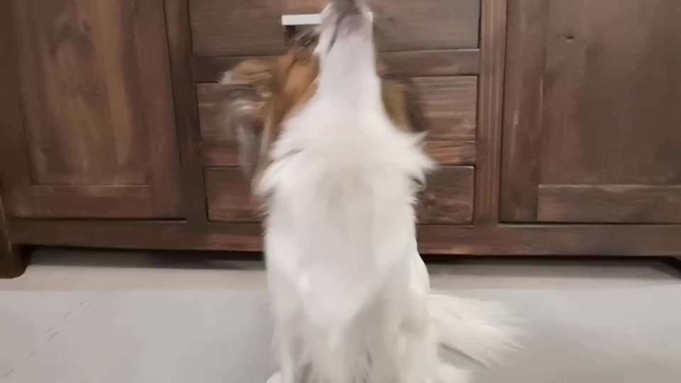 Trick: Festhalten-Beitrag-Bild