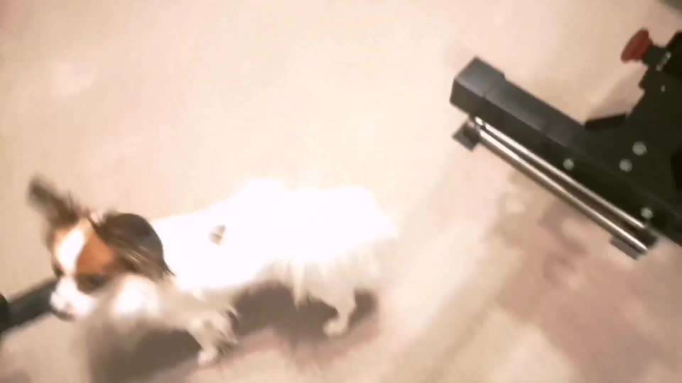 Koffer Packen: Spezial Weihnachtsedition-Beitrag-Bild