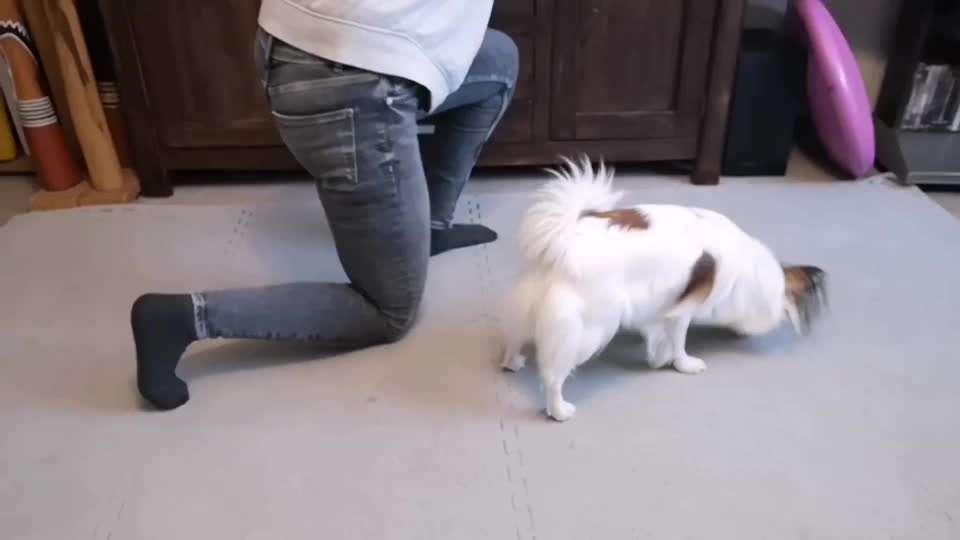 Veteranenzone - Koffer packen für fortgeschrittene-Beitrag-Bild