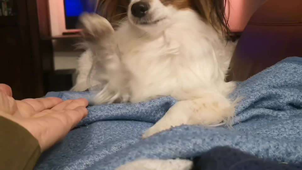 Trick Spiel - Koffer packen - der 15.-Beitrag-Bild