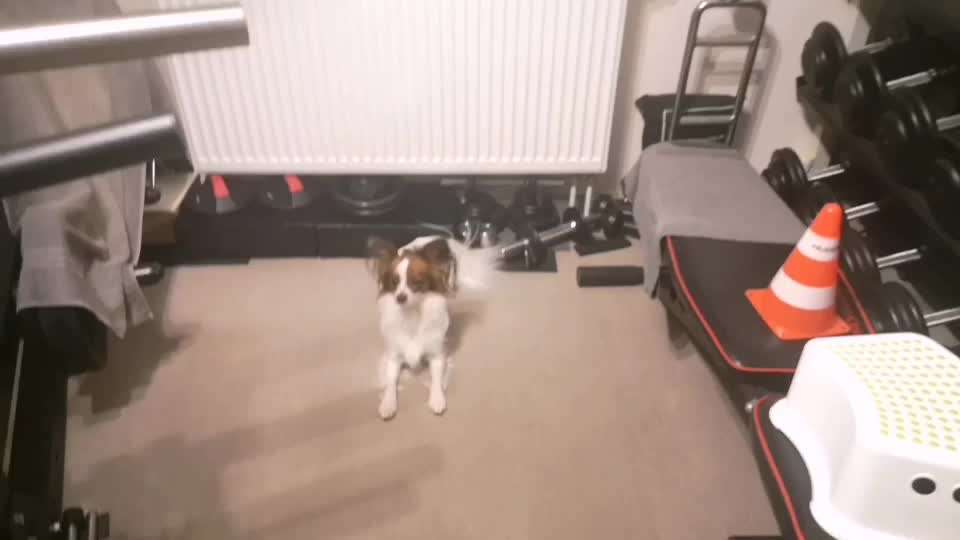 Koffer Packen: Spezial Weihnachtsedition-Beitrag-Bild