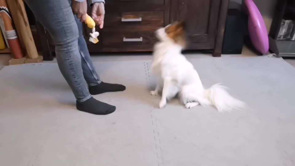 Veteranenzone - Koffer packen für fortgeschrittene-Beitrag-Bild