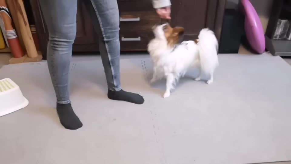 Veteranenzone - Koffer packen für fortgeschrittene-Beitrag-Bild