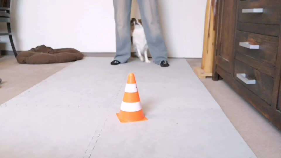 Trick Spiel - Koffer packen - der 20.-Beitrag-Bild