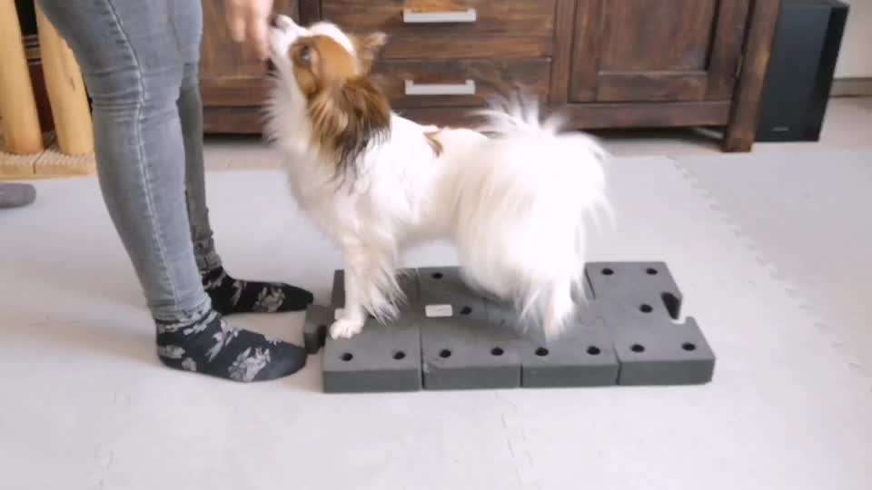 47. Rückwärts Einparken-Beitrag-Bild