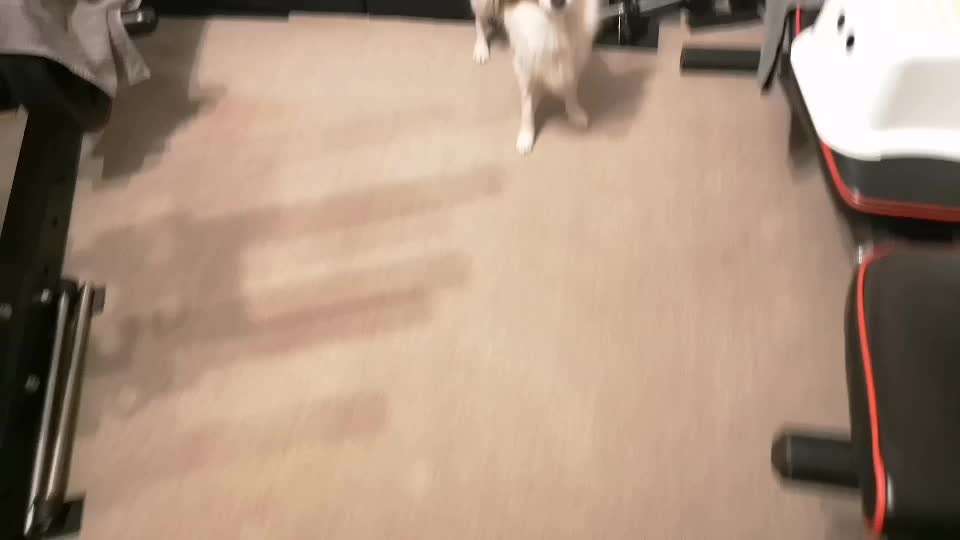 Koffer Packen: Spezial Weihnachtsedition-Beitrag-Bild