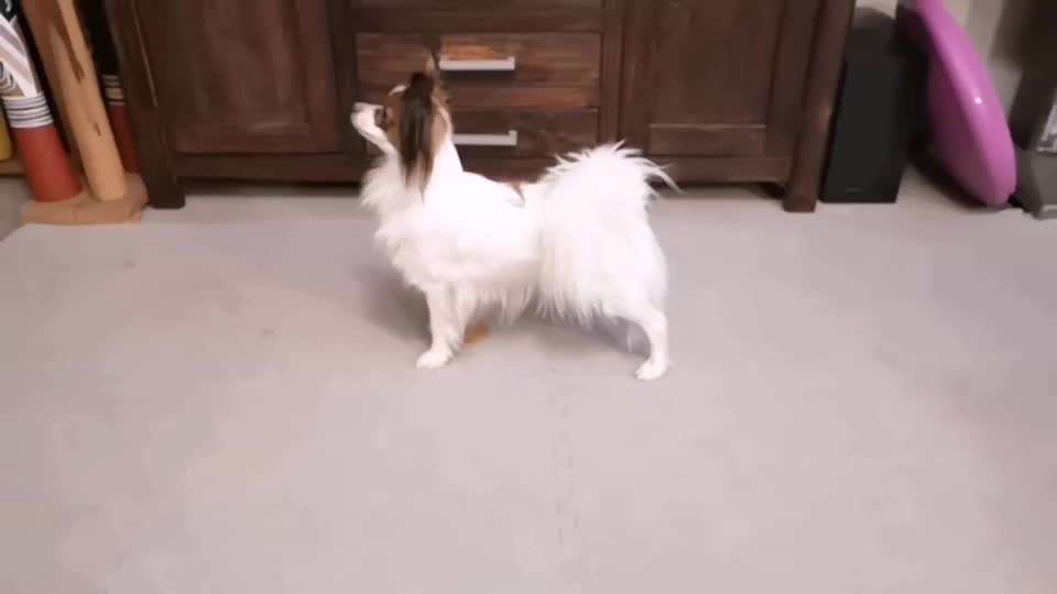 Veteranenzone - Koffer packen für fortgeschrittene-Beitrag-Bild