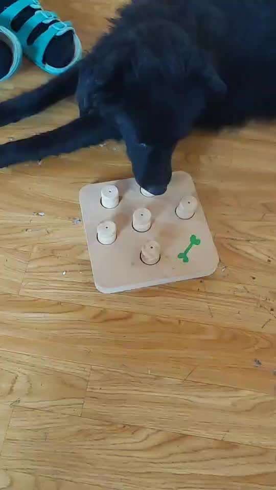 Pubertät- Beschäftigung/Erlebnisse-Beitrag-Bild