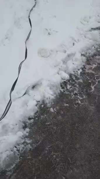 Schäferhund-Beitrag-Bild