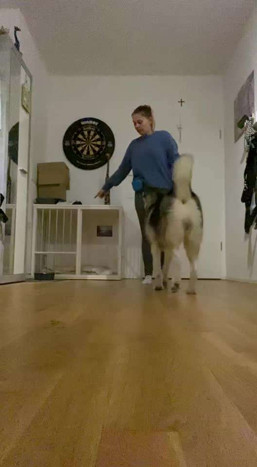 Trick Challenge Nr 6-Beitrag-Bild