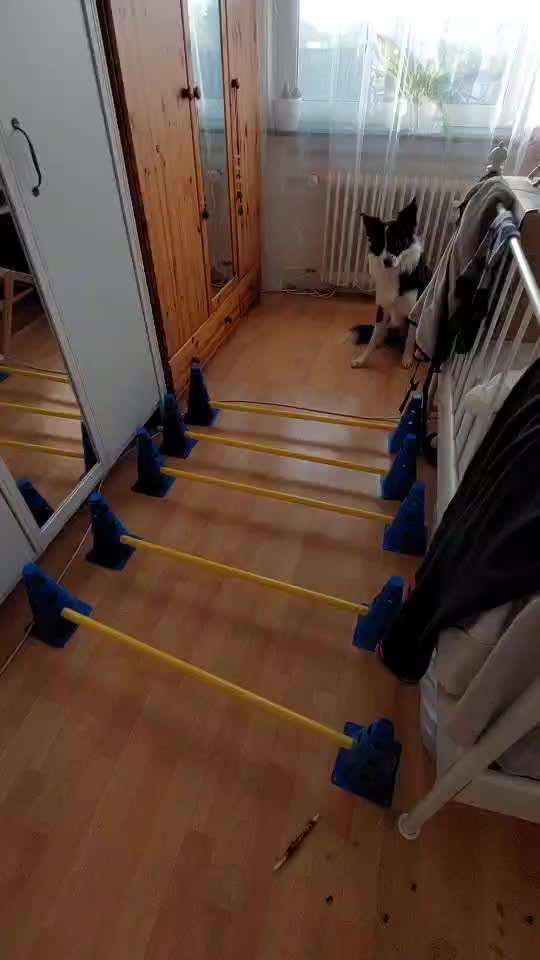 Impulskontrolle Challenge Nr. 21: Minenfeld-Beitrag-Bild