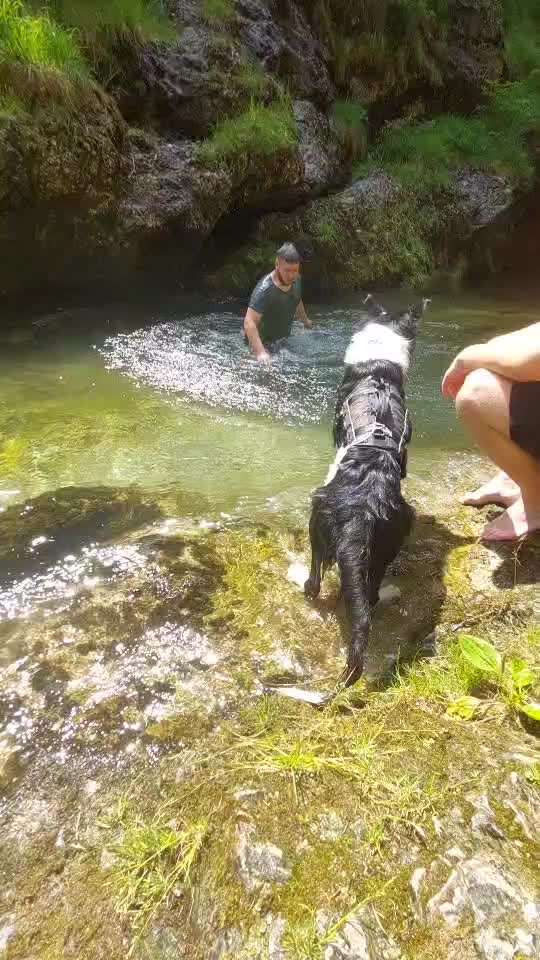 Kurzgeschichten-Challenge Nr. 18-Beitrag-Bild