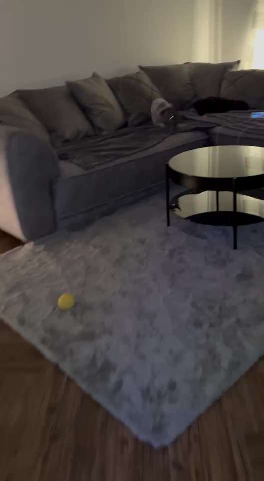 Handy Video Challenge Nr. 39- Bellen u.s.w.-Beitrag-Bild