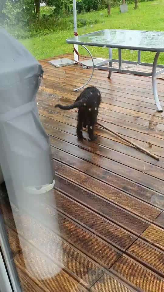 Zeigt mir die lustigsten Schlafpositionen eurer Fellnasen-Beitrag-Bild