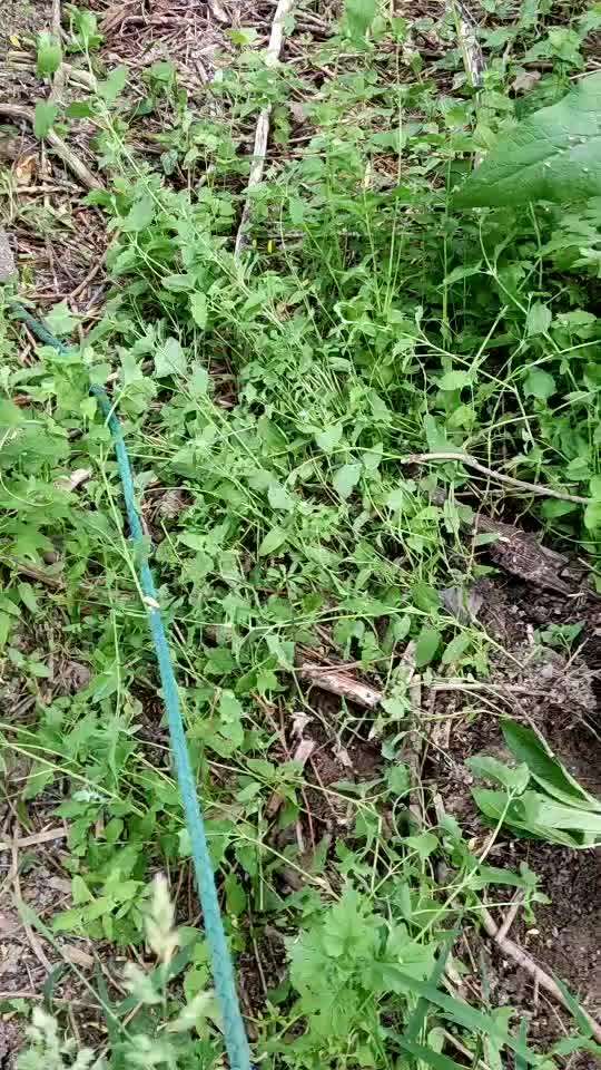 23. Kurzgeschichten - Auf zu neuen Abenteuern-Beitrag-Bild