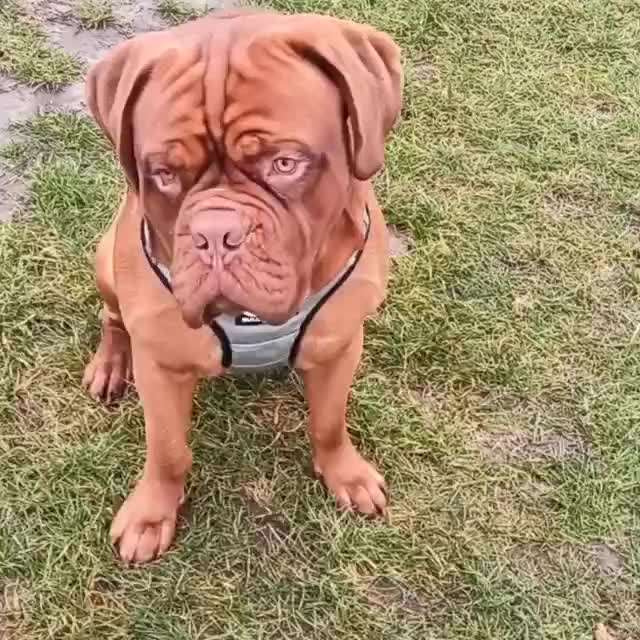 Geschirr Empfehlung-Beitrag-Bild