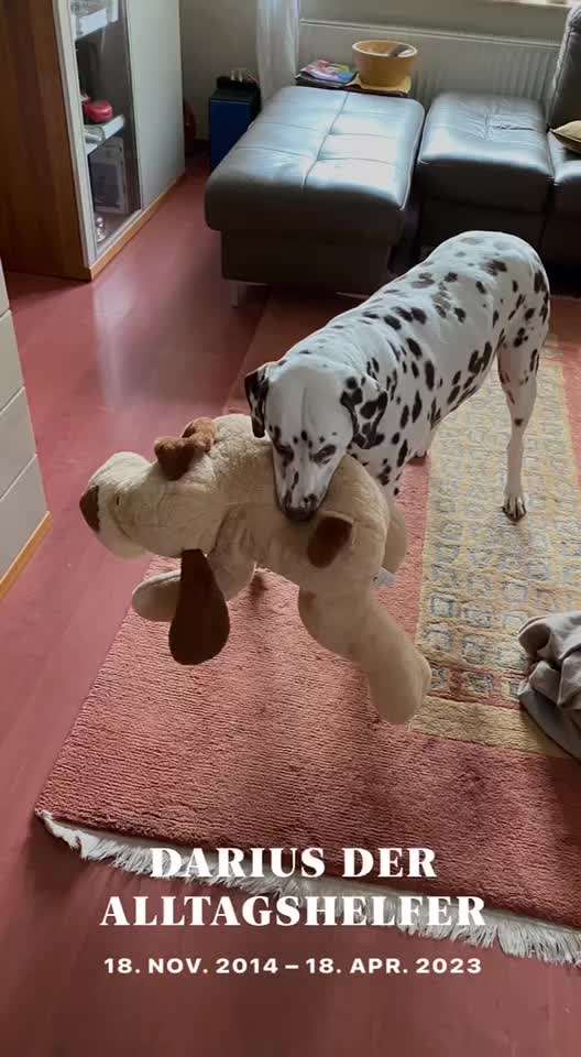 12. Kurzgeschichten-Challenge: Alltagshelfer-Beitrag-Bild