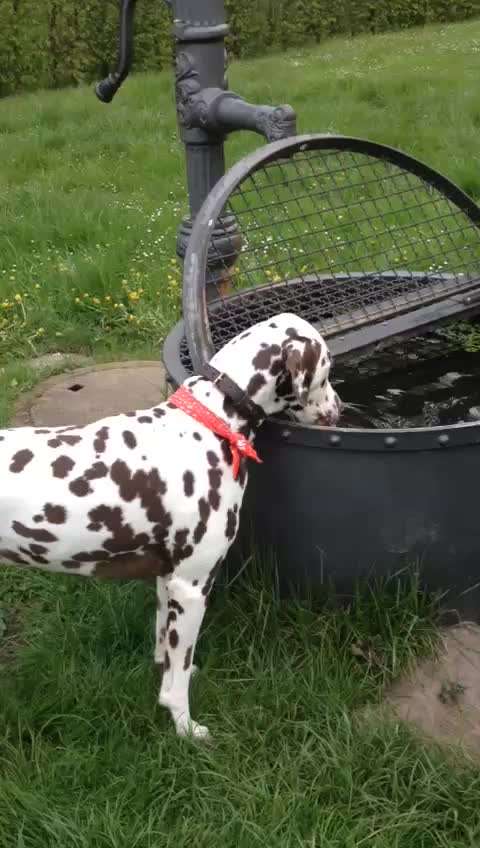 Handy Video Challenge Nr. 31: Wasser-Beitrag-Bild