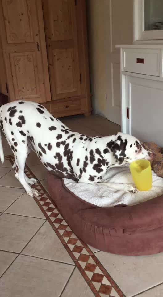 Video Challenge Nr. 4 - Lecker, Lecker-Beitrag-Bild