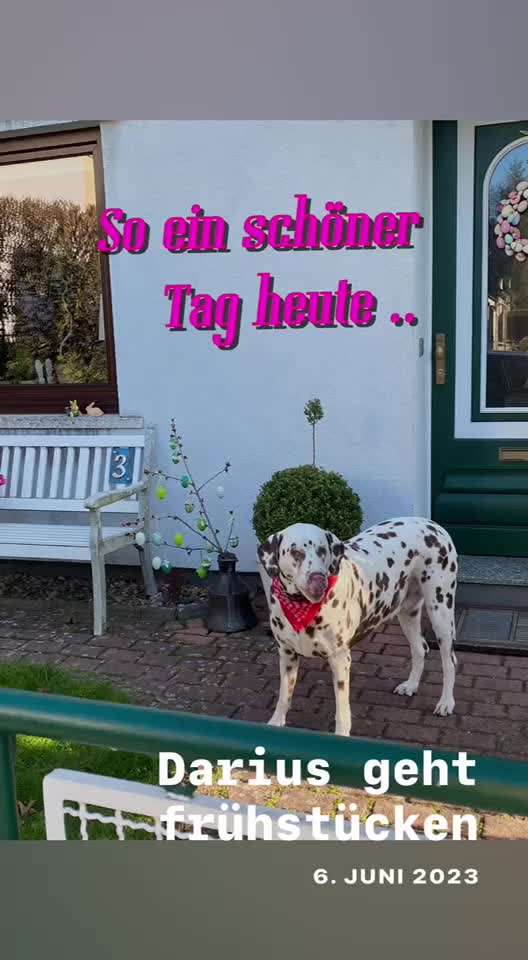 13. Kurzgeschichten Challenge - Dinner for one-Beitrag-Bild