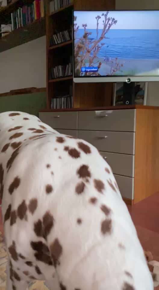 15. Video Challenge.  In SloMo die Welt erkunden!-Beitrag-Bild