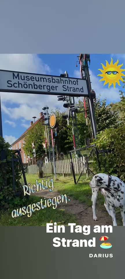 7. Kurzgeschichten Challenge: Spaziergang am Strand-Beitrag-Bild