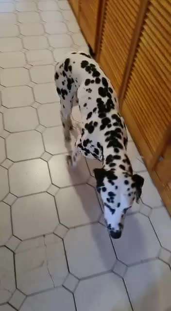 Etwas im Ohr?-Beitrag-Bild