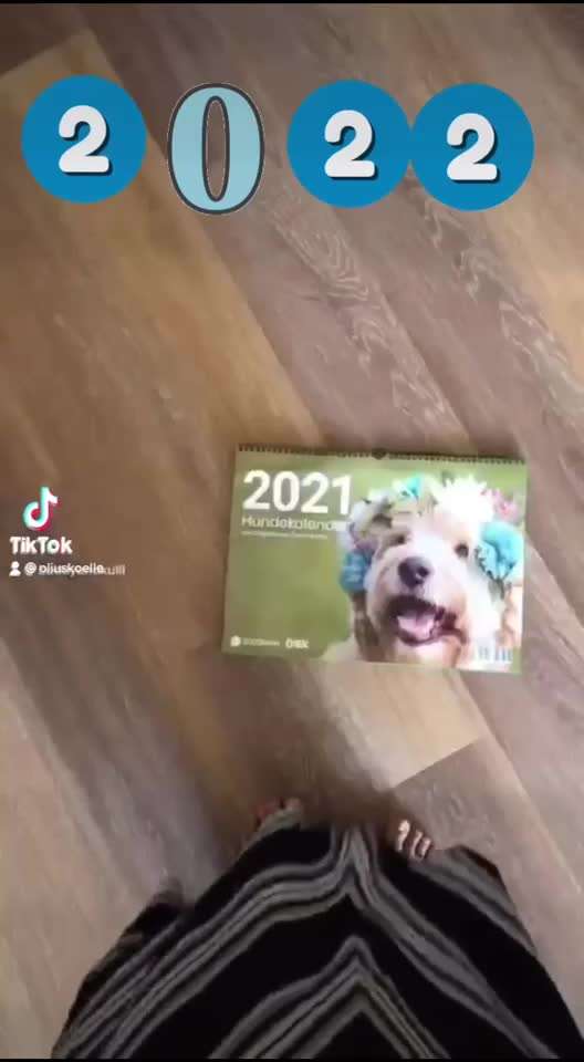 Die Dogorama Kalender Challenge Titelbild-Beitrag-Bild