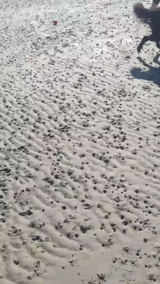 Fotochallenge 27-Beitrag-Bild