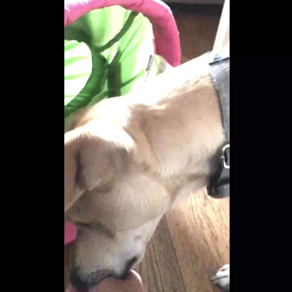 Agility anfangen-Beitrag-Bild