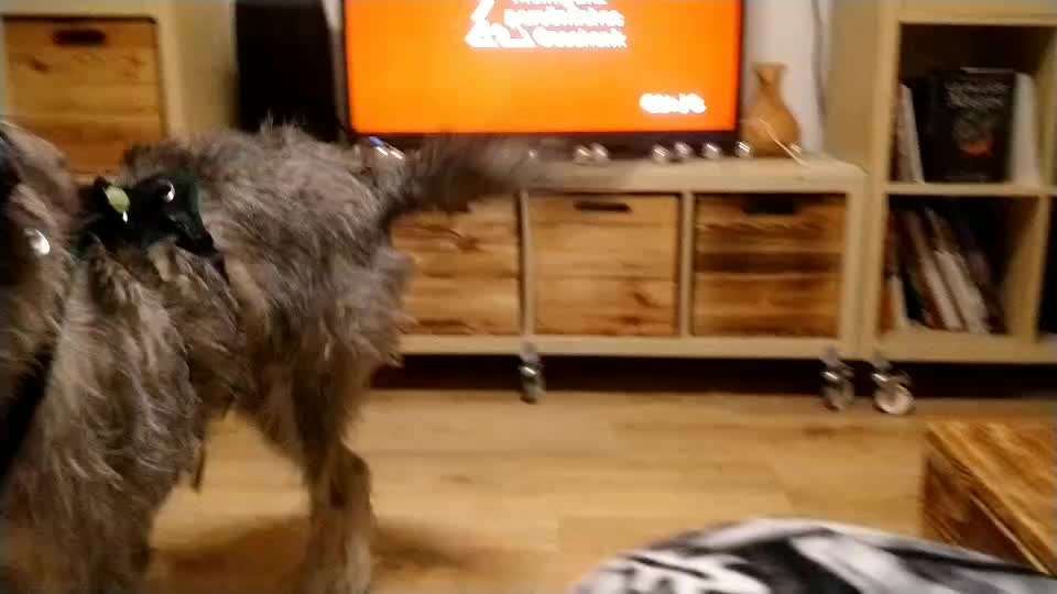 Bellen zur gleichen Uhrzeit-Beitrag-Bild