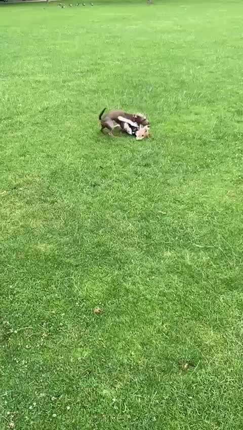 Wann ist es kein "Spiel" mehr?-Beitrag-Bild