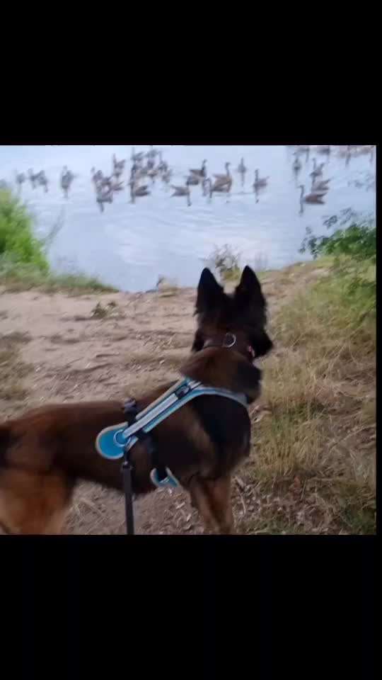 "Wege zur Freundschaft" (Ulli Reichmann)-Beitrag-Bild