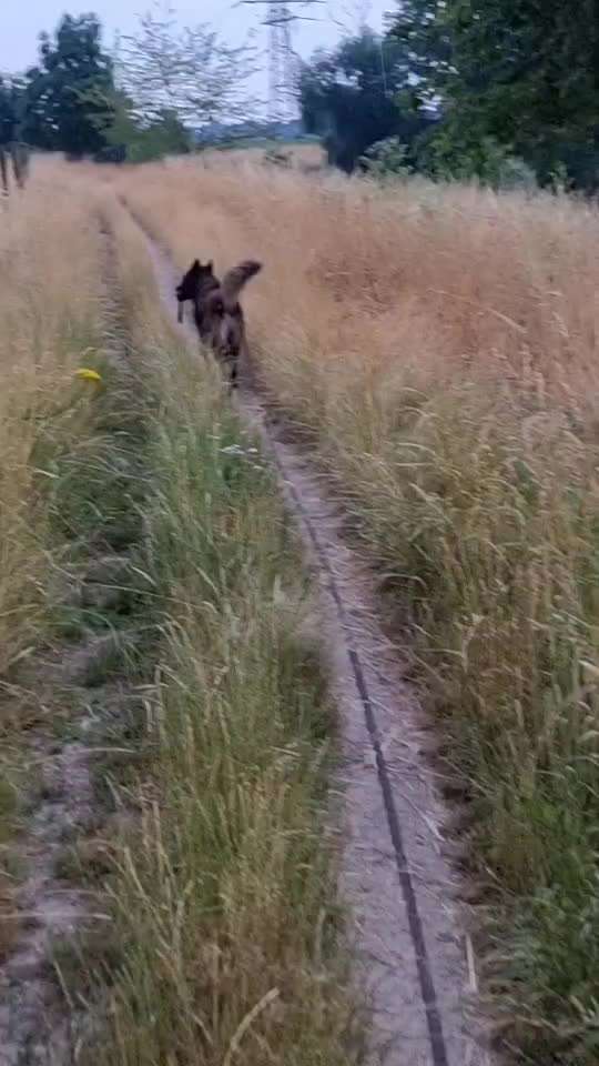 "Wege zur Freundschaft" (Ulli Reichmann)-Beitrag-Bild