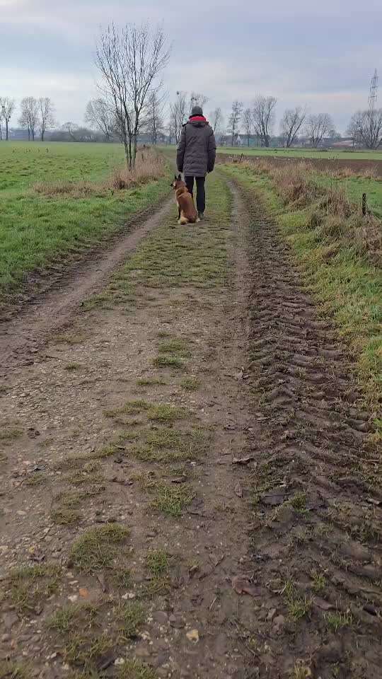 "Wege zur Freundschaft" (Ulli Reichmann)-Beitrag-Bild