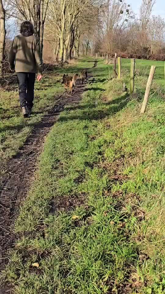 "Wege zur Freundschaft" (Ulli Reichmann)-Beitrag-Bild