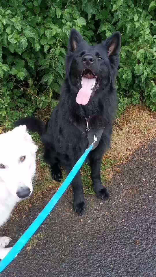 Erzählt eure Erfolgsstorys!-Beitrag-Bild