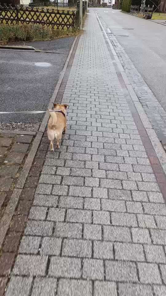 Schleimbeutelentzündung-Beitrag-Bild