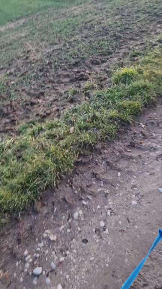 Was hat euch heute gefreut?-Beitrag-Bild