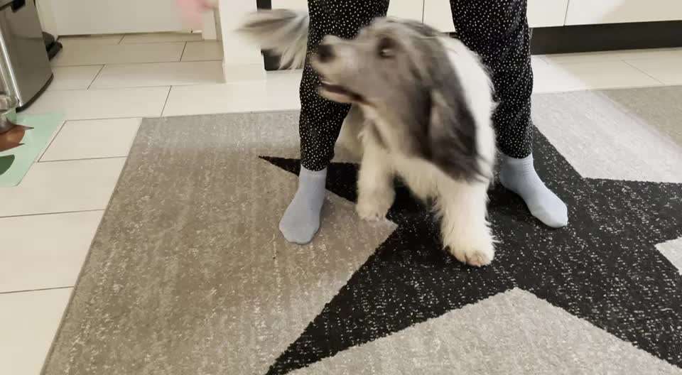 Trick Callange Nr.4-Beitrag-Bild